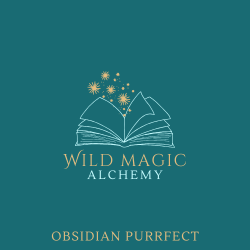 Obsidian Purrfect