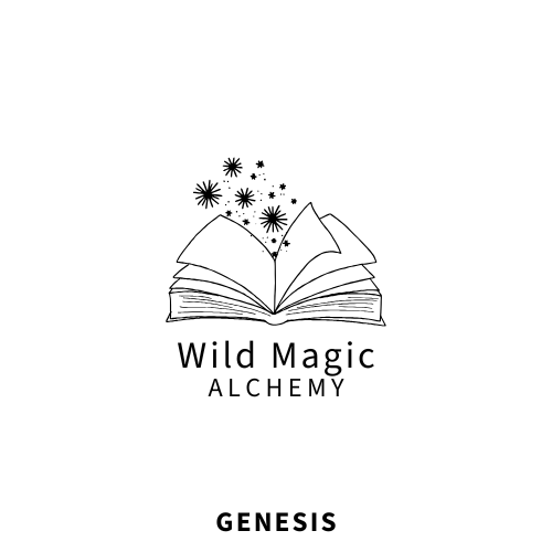 A minimalist black line art logo featuring an open book with magical sparkles rising from it, with the text 'Wild Magic ALCHEMY' centered below, and 'GENESIS' centered below that on a plain white background.