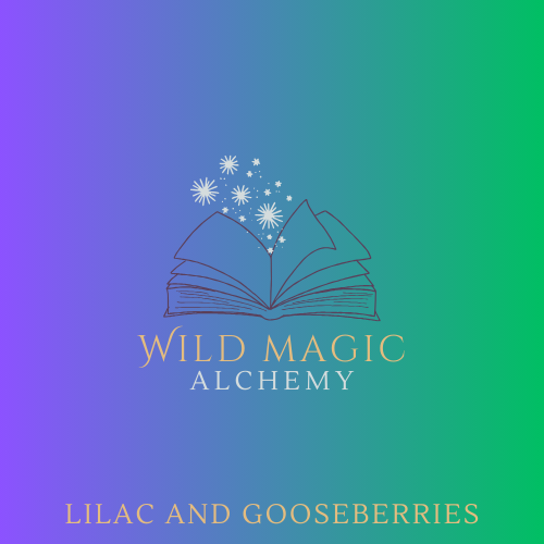 Logo for Wild Magic Alchemy with an open book and stars on a gradient purple to green background. Product is called Lilac and Gooseberries. 